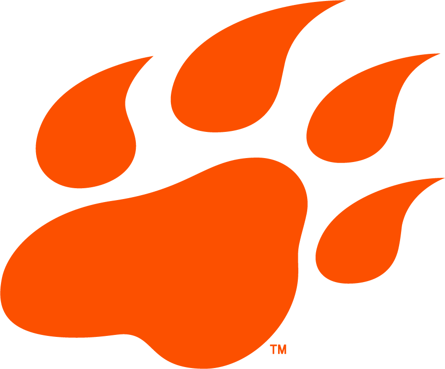Sam Houston State Bearkats 2020-Pres Alternate Logo diy iron on heat transfer